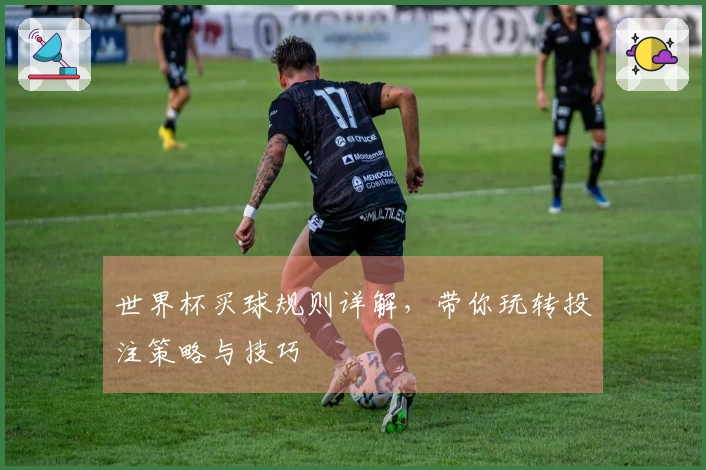 世界杯买球规则详解，带你玩转投注策略与技巧