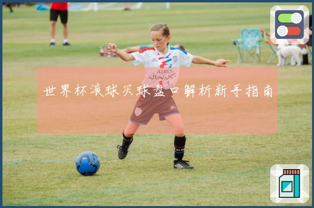 世界杯滚球买球盘口解析新手指南
